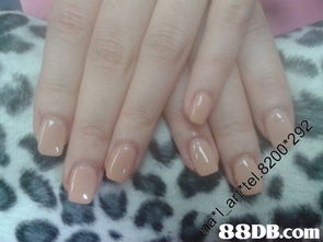 旺角gel甲 单色soak off gel甲 98 单色hard gel 148 有款 258任做 电82008292